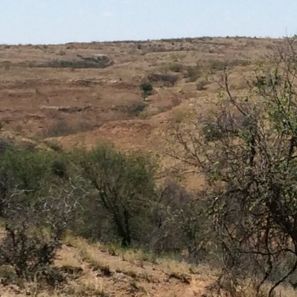 Meet your Posher, William - Picture 15 of 16